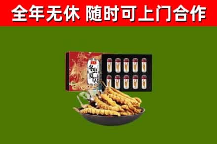 邵阳回收冬虫夏草价格